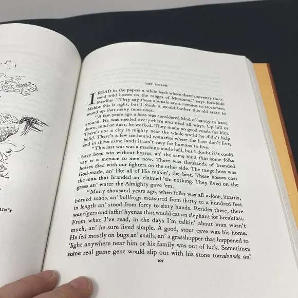 Trails plowed under - Picture 5 of 6